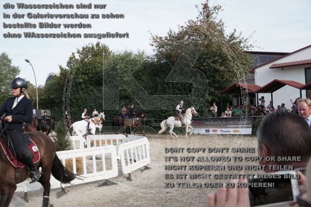 a_DSC06684.JPG